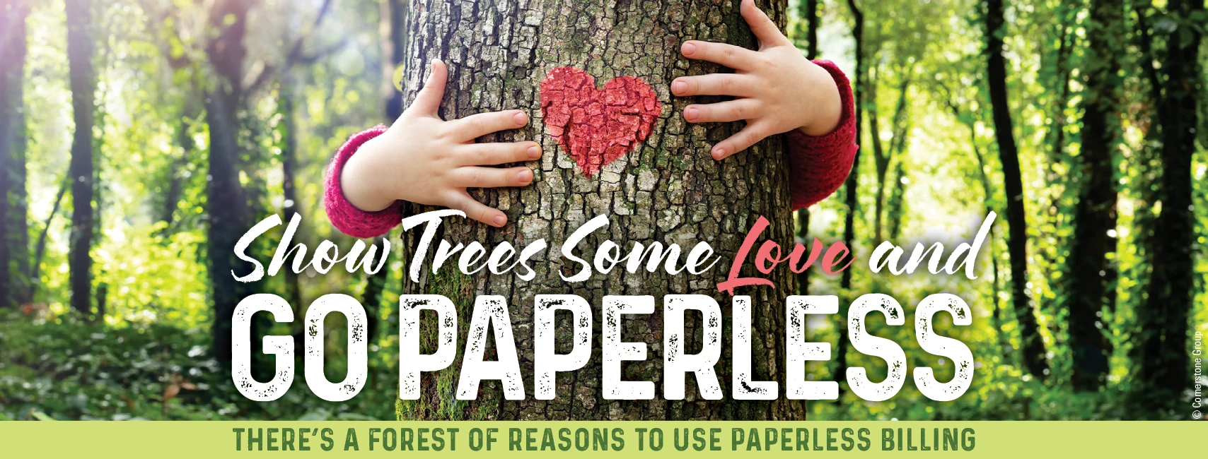 Show trees some love and go paperless. There's a forest of reasons to use paperless billing.